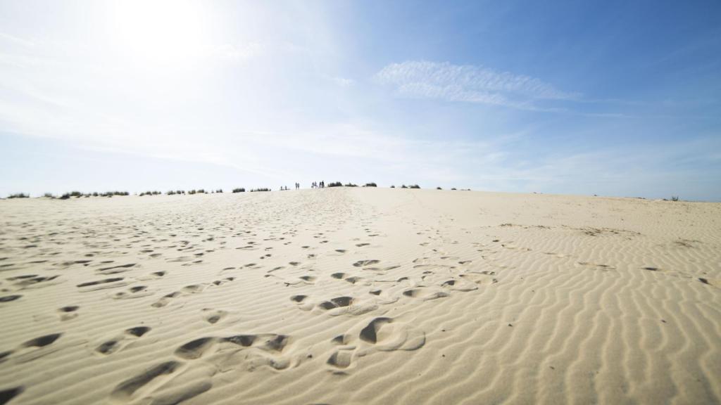 Dunas del Parque Nacional de Doñana (Huelva).