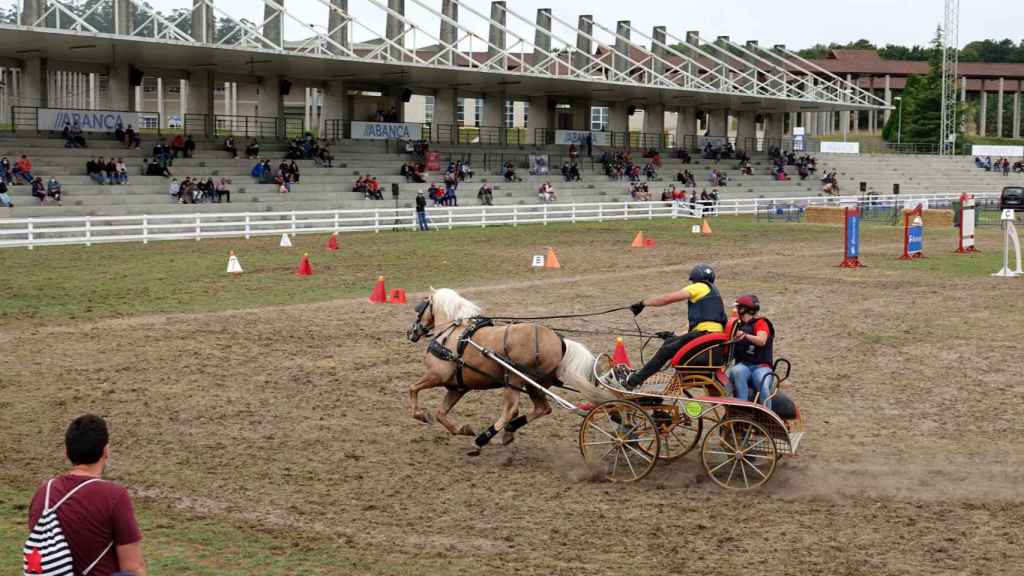 Campeonato gallego de enganches