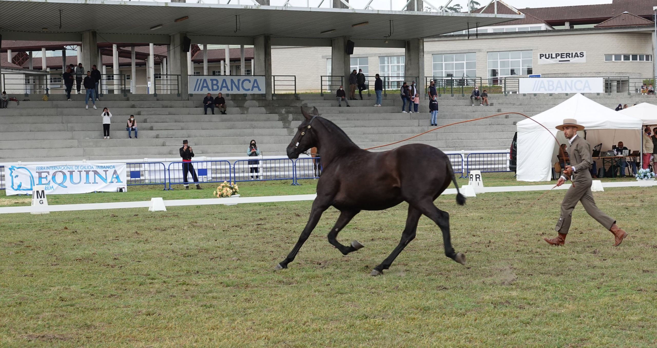 Participante no VII Campeonato de España, Pura Raza española Foto: Feira Internacional de Galicia Abanca