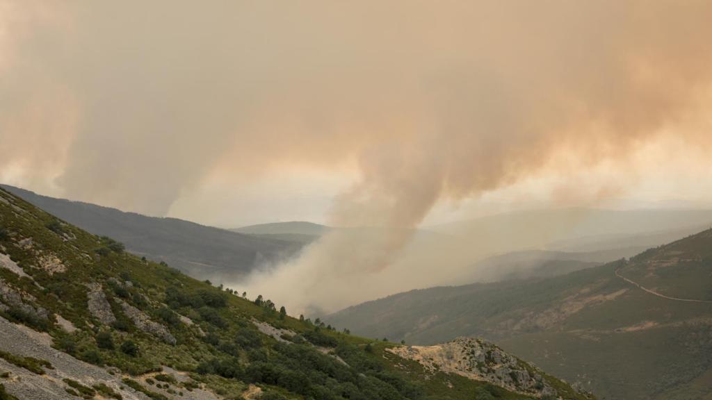 Incendio forestal de Monsagro