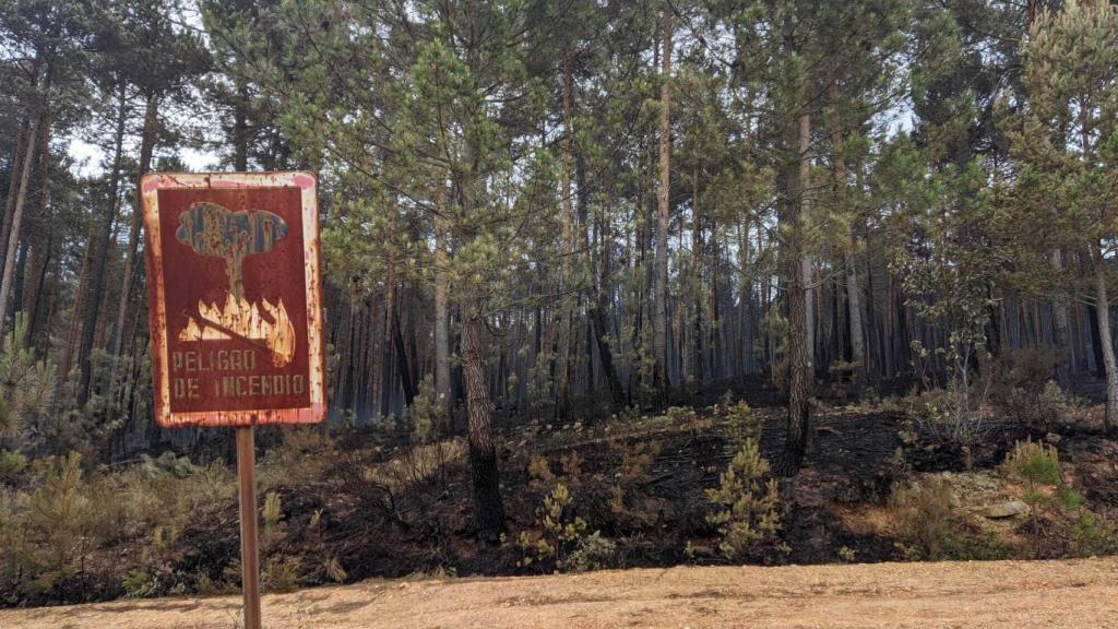 Incendio de la Sierra de la Culebra