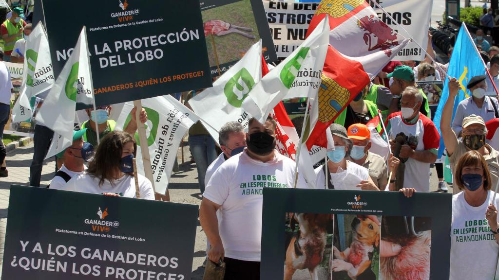 Concentración en 2021 de la Plataforma en Defensa de la Gestión del Lobo 'Convivencia Lobo – Ganader@ Viv@' para exigir que se revoque el proyecto de orden ministerial que incluirá el lobo en el Listado de Especies Protegidas.