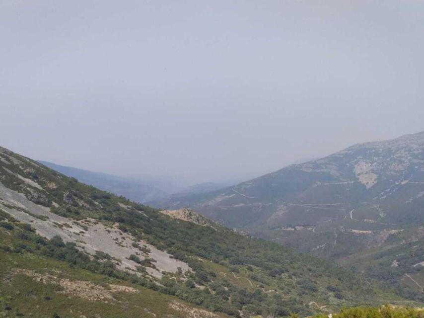 Incendio de Monsagro este mediodía. #IIFMONSAGRO