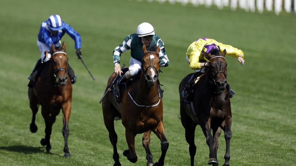 Jinetes golpean con su fusta a los caballos durante las carreras de la Royal Ascot.