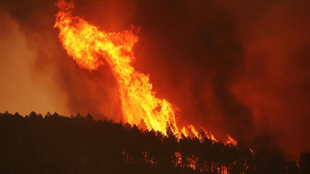 Incendio de Monsagro