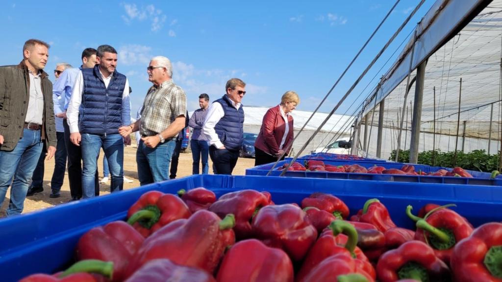El consejero durante la visita a una finca de cultivo de pimiento en Torre Pacheco