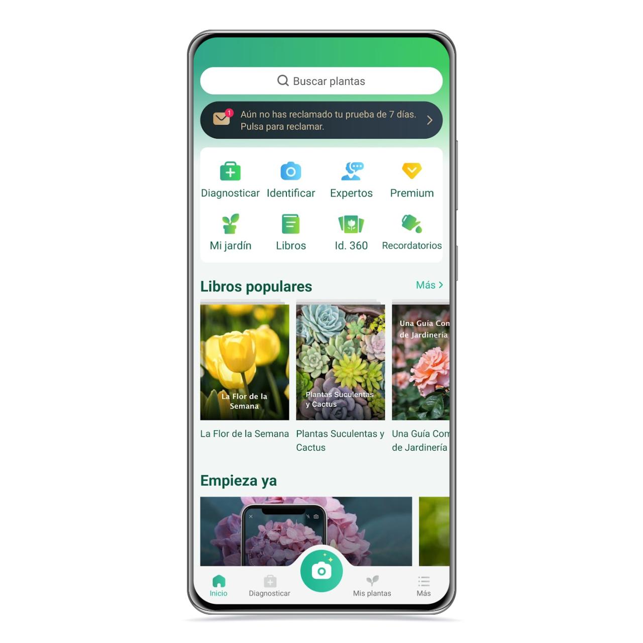 Pantalla principal de Picture This