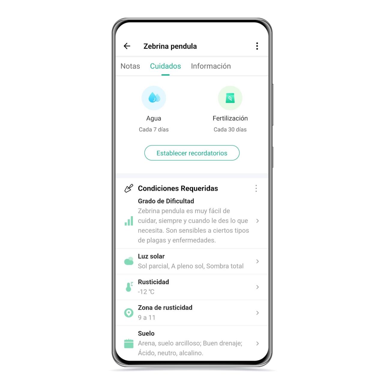Cuidados en Picture This