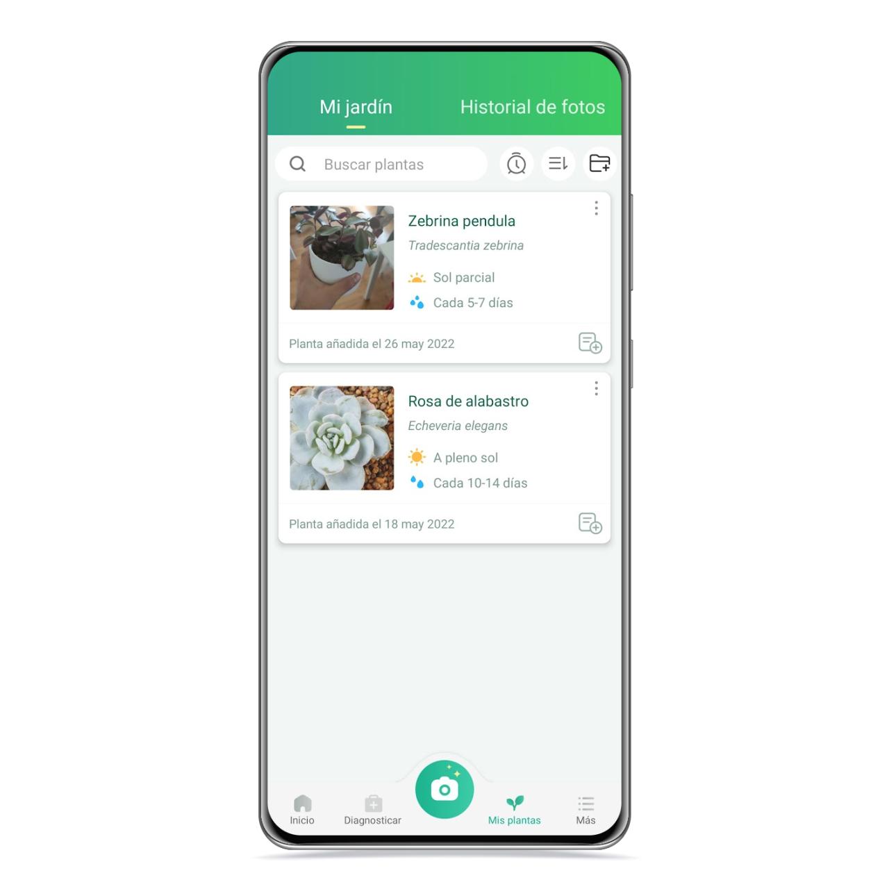 Jardín en Picture This