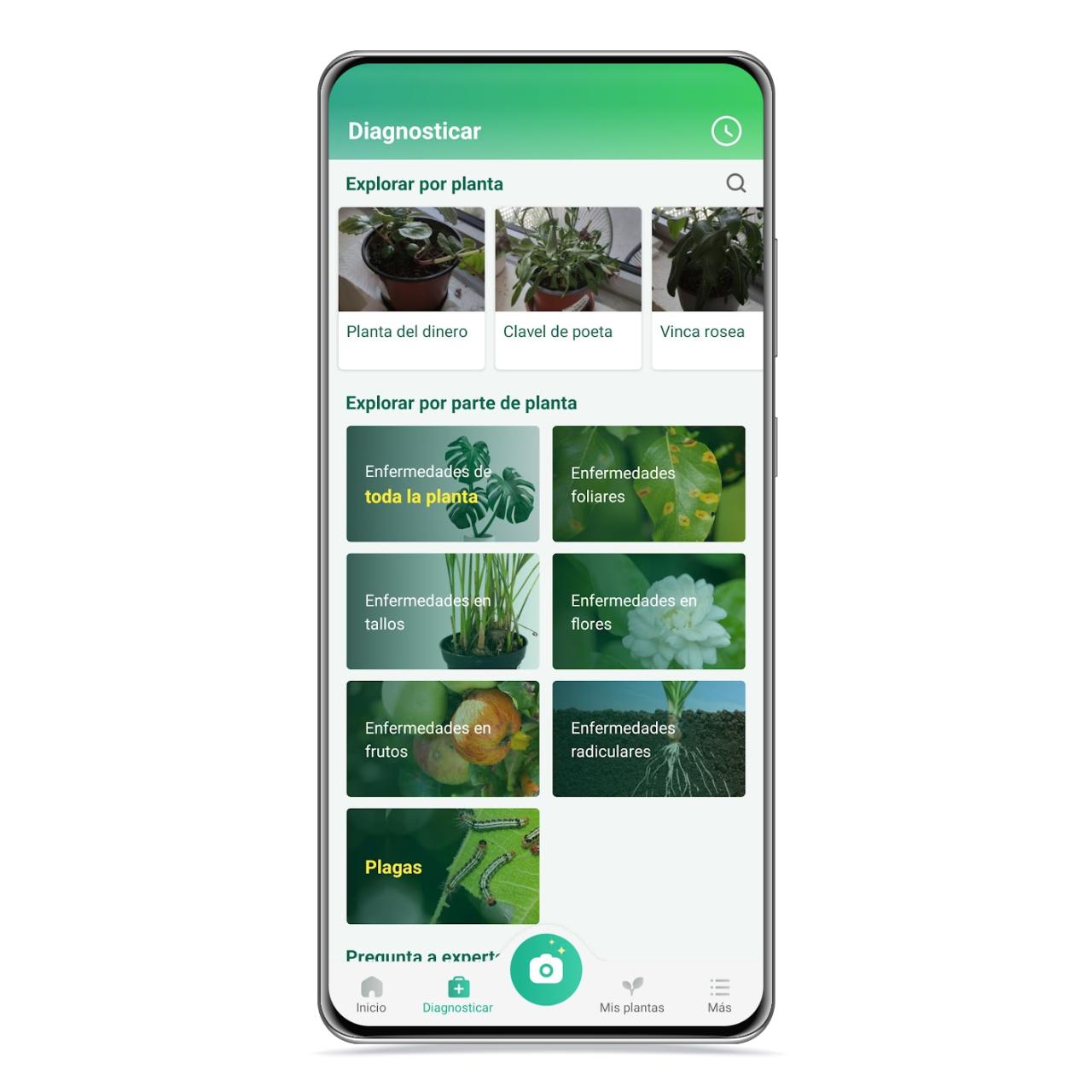 Diagnóstico de plantas
