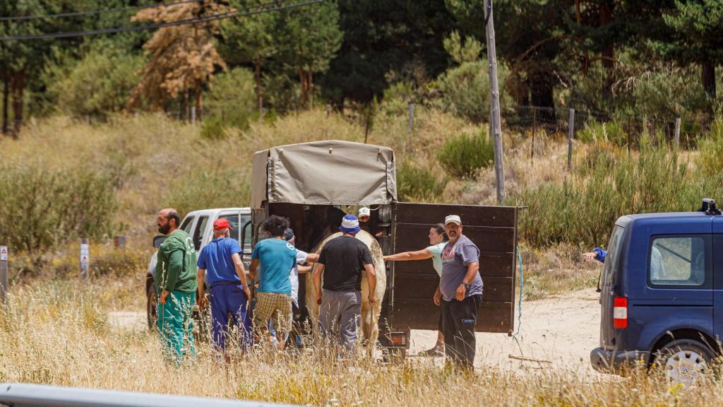 Incendio en Navafría