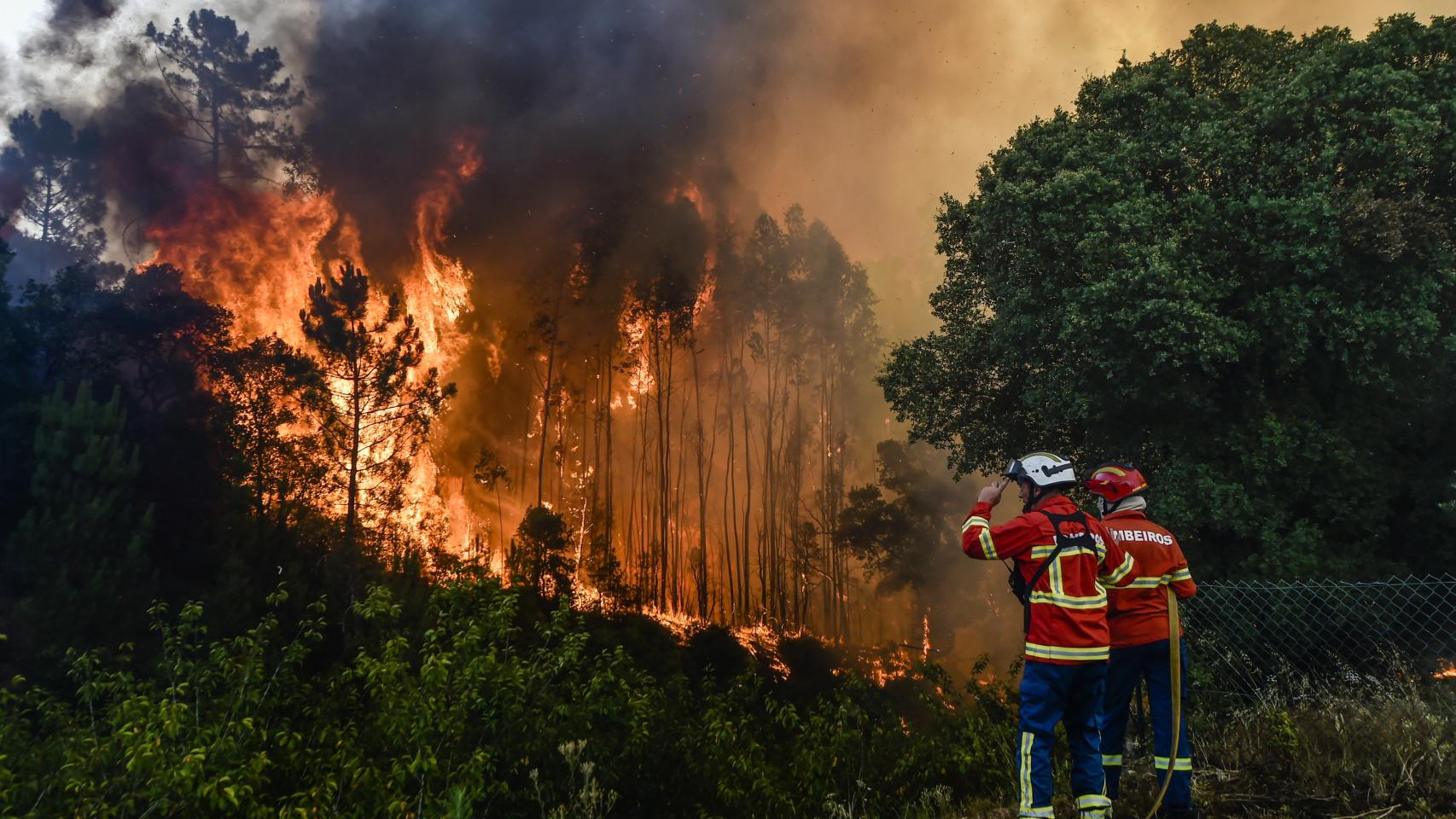 España arde: el fuego entra en el Parque Nacional de Monfragüe y los  incendios asolan Galicia y CyL