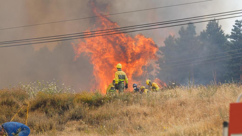 Efectivos trabajan en la extinción del incendio en la Nacional-110