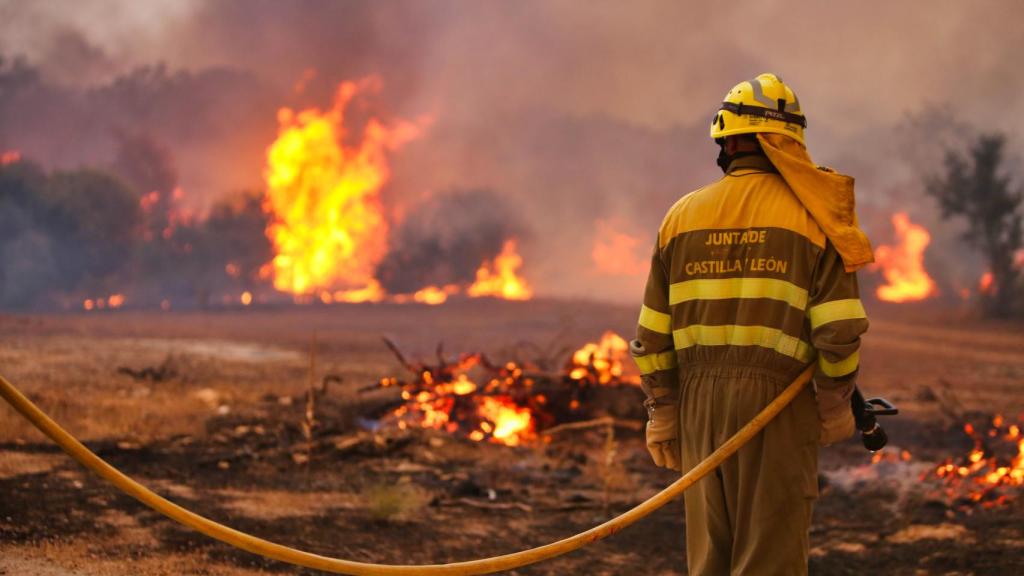 Incendio en Roelos de Sayago