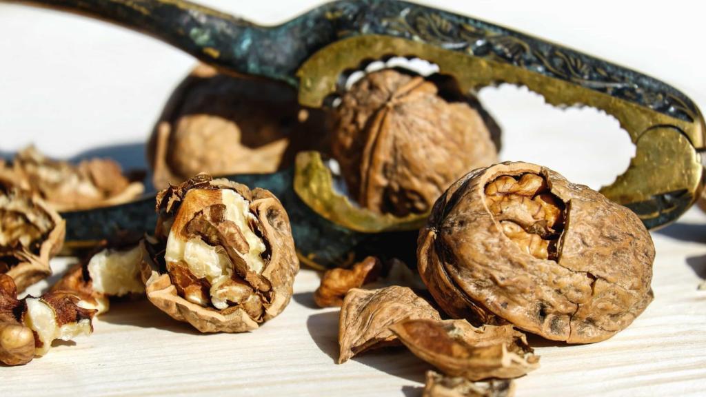 Las nueces son reconocidas como uno de los alimentos que todos deberíamos.