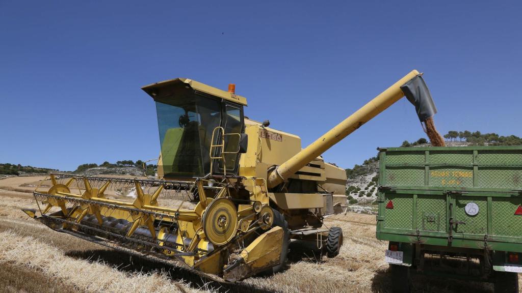 Una cosechadora descarga cereal en Castroverde de Cerrato (Valladolid)