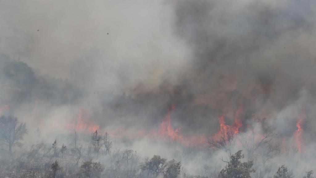 Imagen del incendio de Losacio.