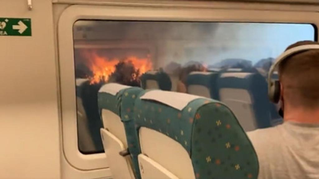 Momentos de pánico en el AVE Madrid-Ferrol a su paso por Zamora.