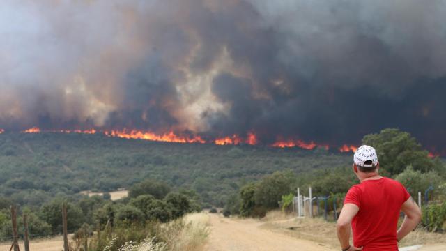 Incendio en la provincia de Zamora