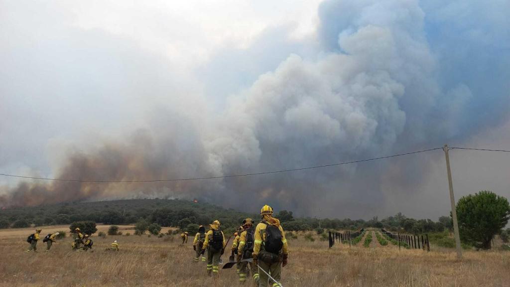 Incendio Forestal en Losacio