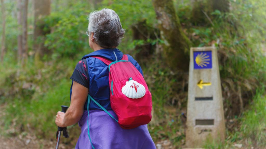 ¿Cómo hacer el Camino de Santiago? ¿Cuándo hacerlo?