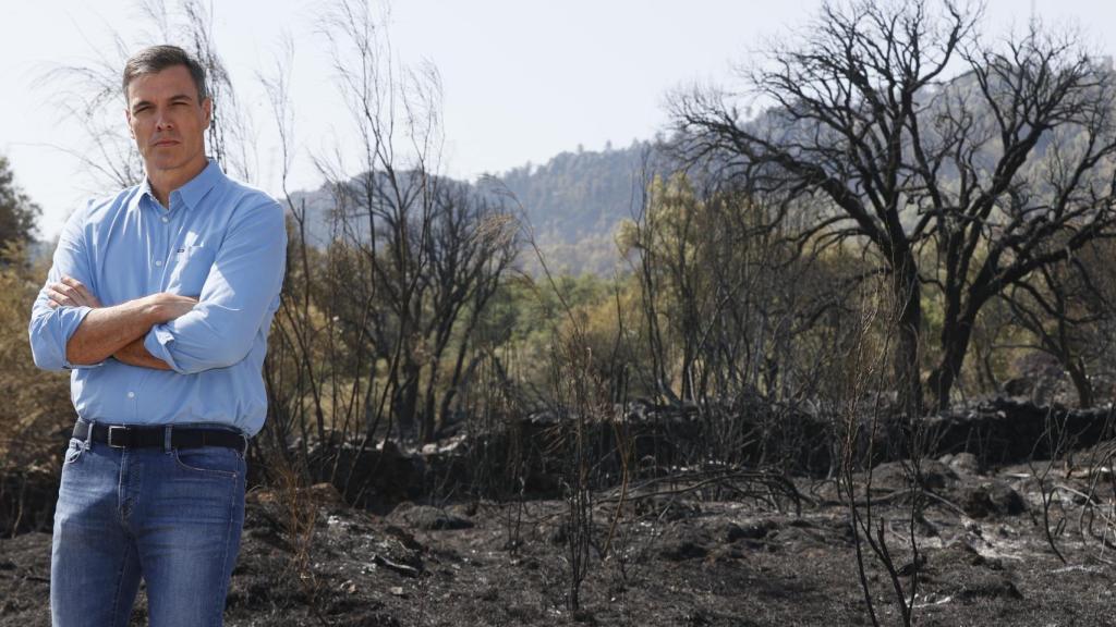 Pedro Sánchez en una de las zonas calcinadas del Parque Nacional de Monfragüe.