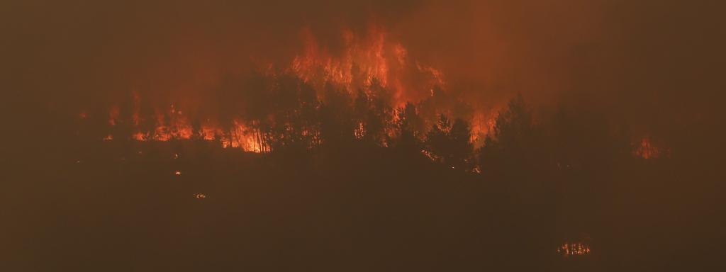 Incendio en Galicia