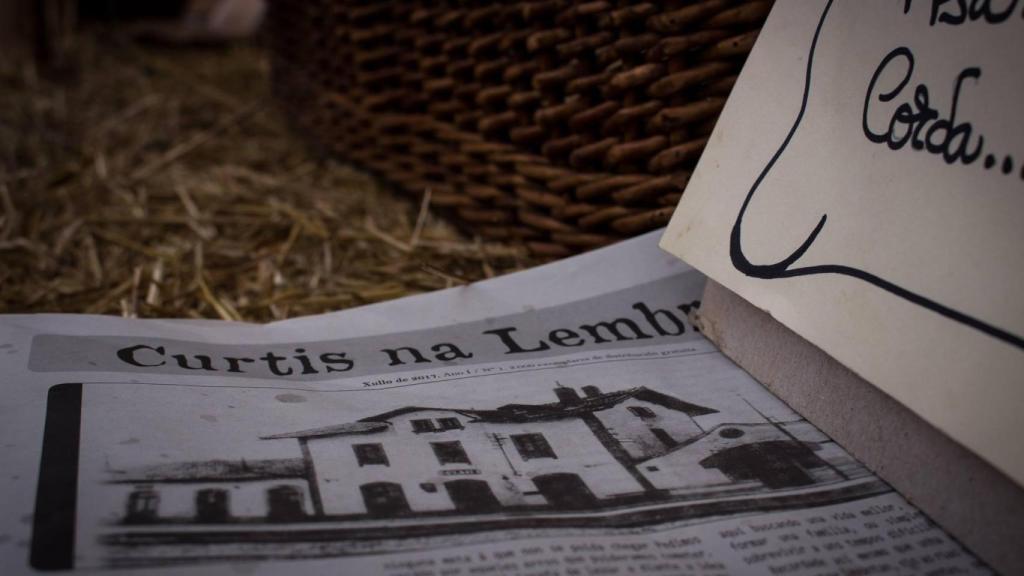 Imagen de archivo de Curtis na Lembranza