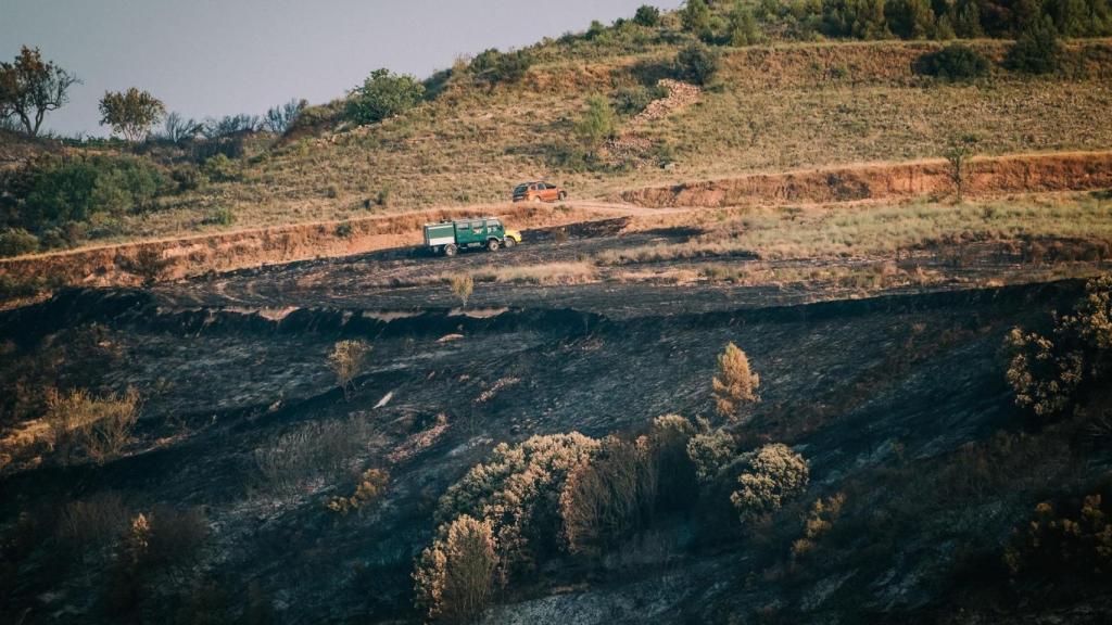 Vista del terreno calcinado después de que los servicios de extinción estabilizaran el incendio que se ha producido a primeras horas de la tarde en Fuenmayor.