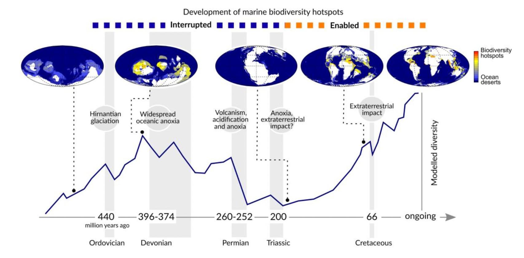 El tiempo transcurrido entre un evento de extinción masiva y el siguiente fue clave para permitir el desarrollo de los ‘hotspots’ de biodiversidad.