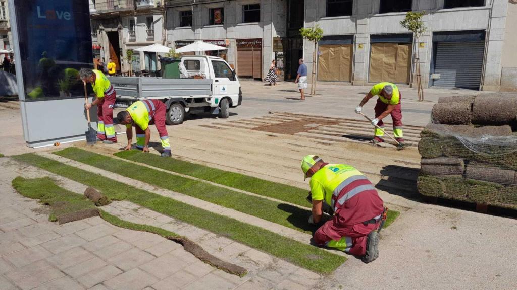 Trabajo de reposición de zonas ajardinadas en la Alameda Principal de Málaga.
