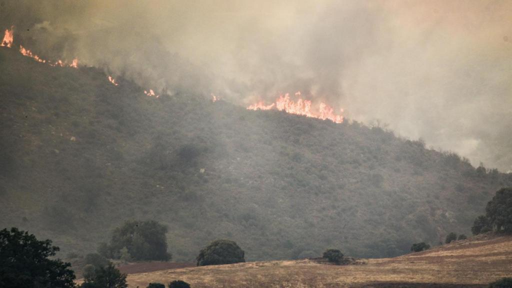 Vista general del incendio ya estabilizado