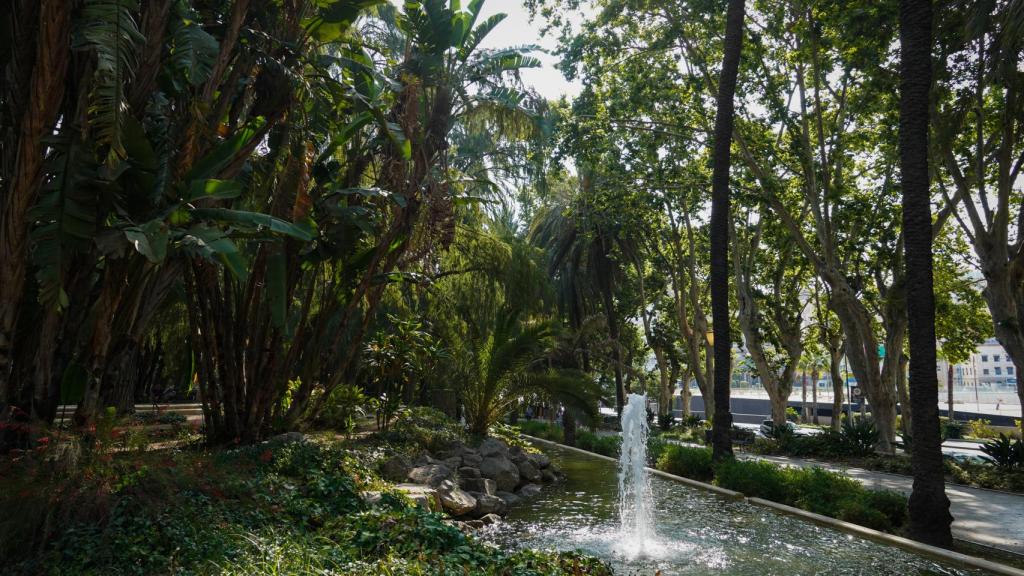 El Parque de Málaga tiene como unas 300 especies de plantas.