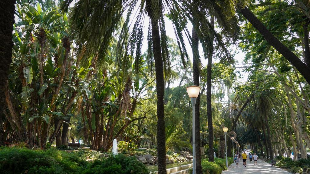 El espacio es un pulmón verde en pleno centro.
