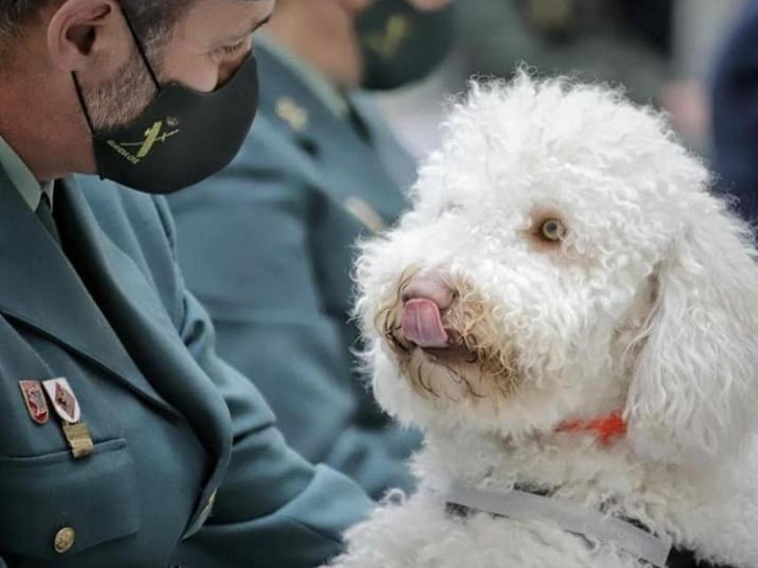 Juanma, con Dilan. Es una nariz pegada a un perro, según su guía.