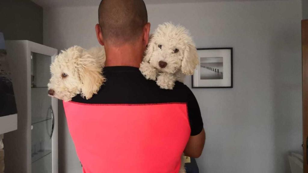 Junco y Dilan, con Joaquín en el veterinario, días antes de incorporarse a la Guardia Civil.