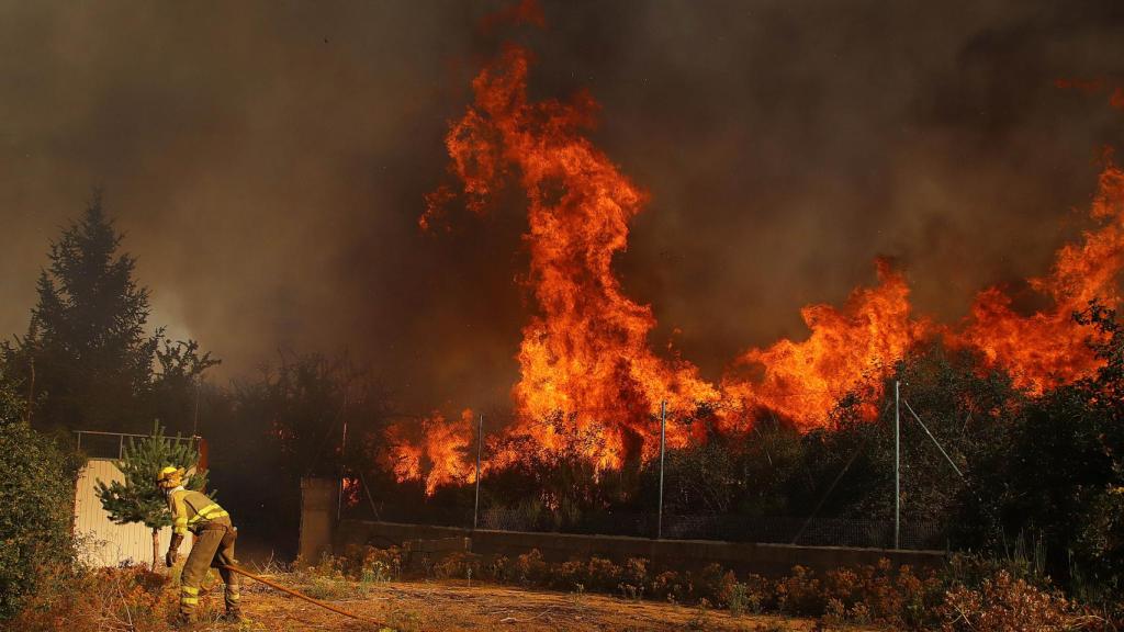 Un virulento incendio arrasa una zona arbolada entre San Andrés y Ferral del Bernesga