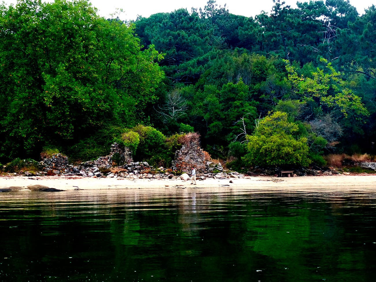 Isla de Cortegada. Foto: Cies.gal