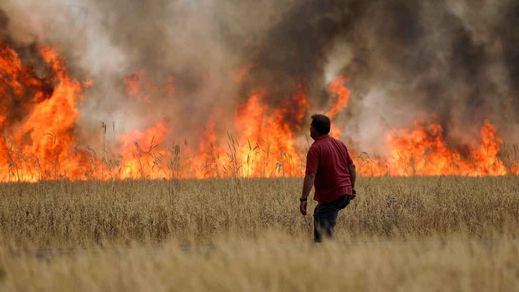 Incendio de Zamora, en julio de 2022.