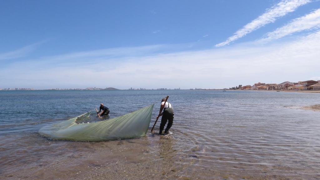 Dos personas trabajando en el Mar Menor