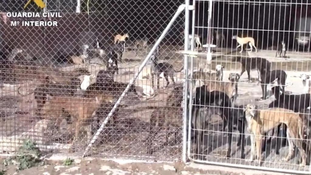 Imágenes de la Guardia Civil.