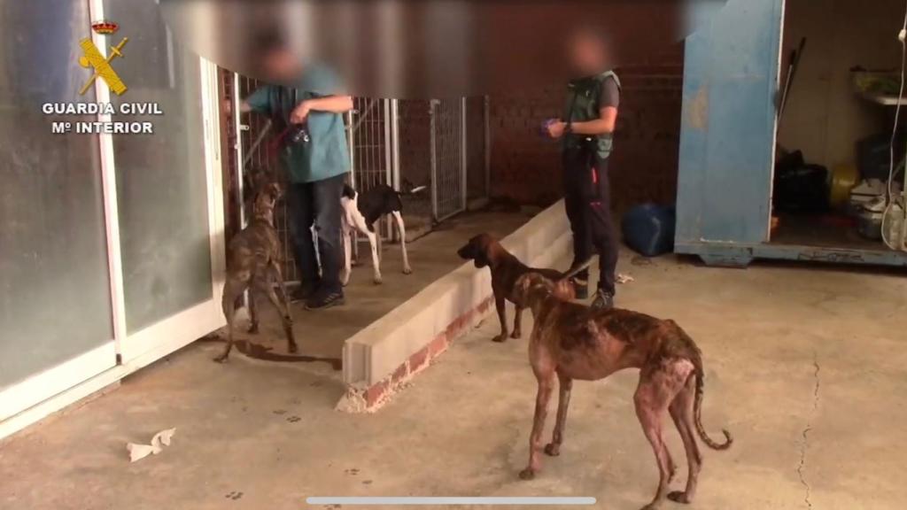 Los agentes, durante la operación.