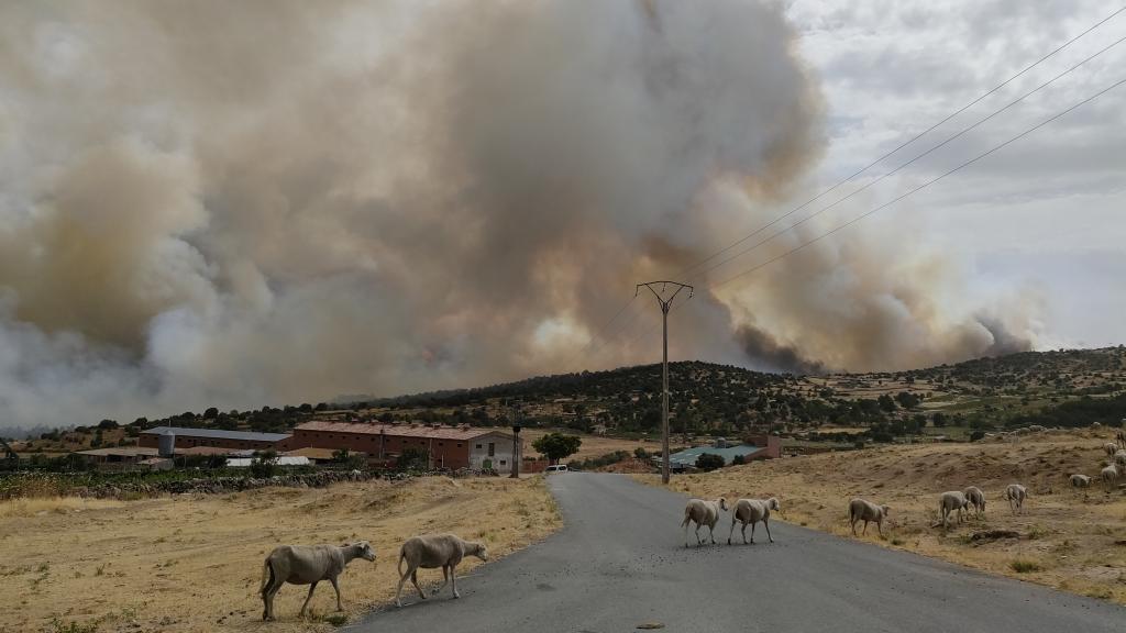 Incendio en San Juan de la Nava (Ávila)