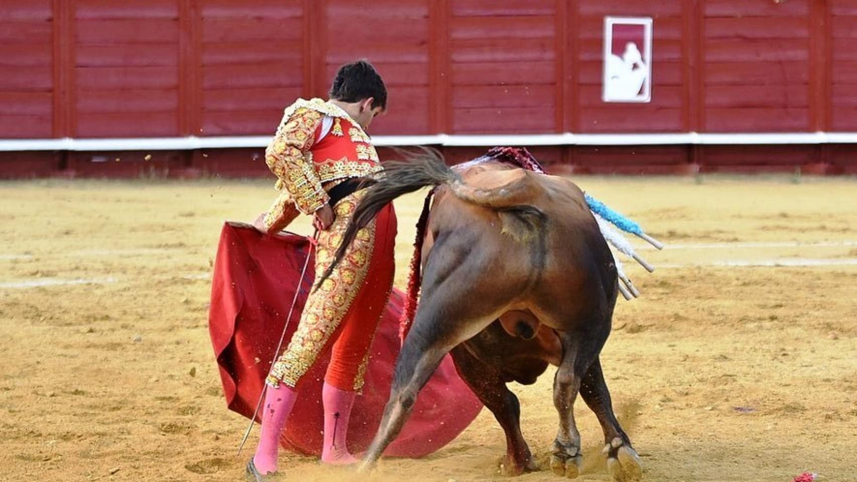 Novillada de Tordesillas