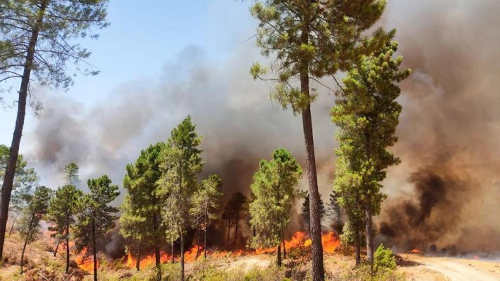 Incendio de Almadén. Foto: Lanza Digital.