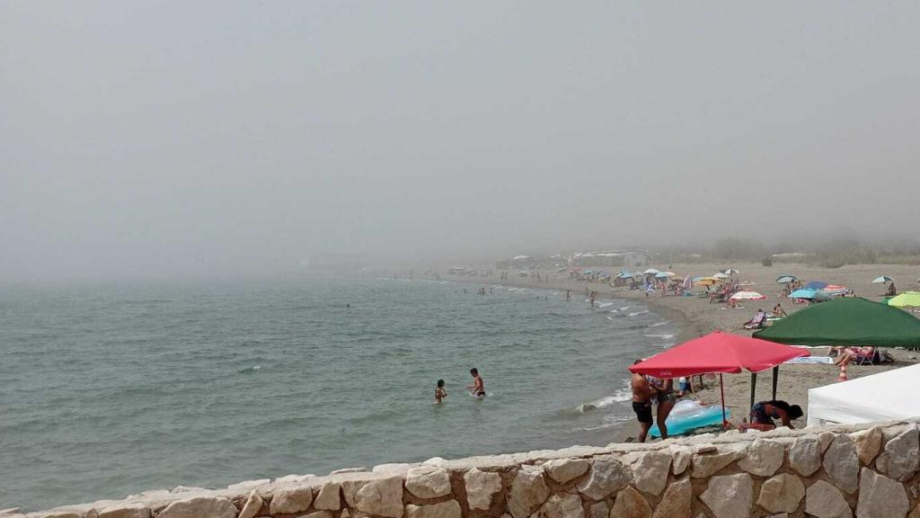 El taró hace acto de presencia en Guadalmar.