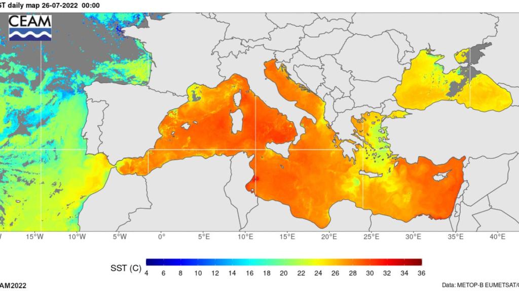 Temperatura del mar a 25 de julio de 2022.
