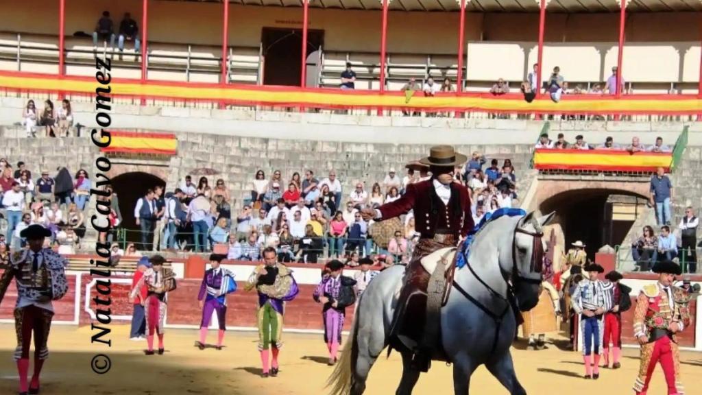 Imagen de una corrida de toros