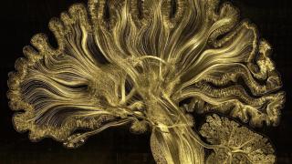 Greg Dunn y Brian Edwards: 'Self Reflected' (2014-2016). Micrograbado reflector sobre material vitrocerámico. Cortesía de los artistas