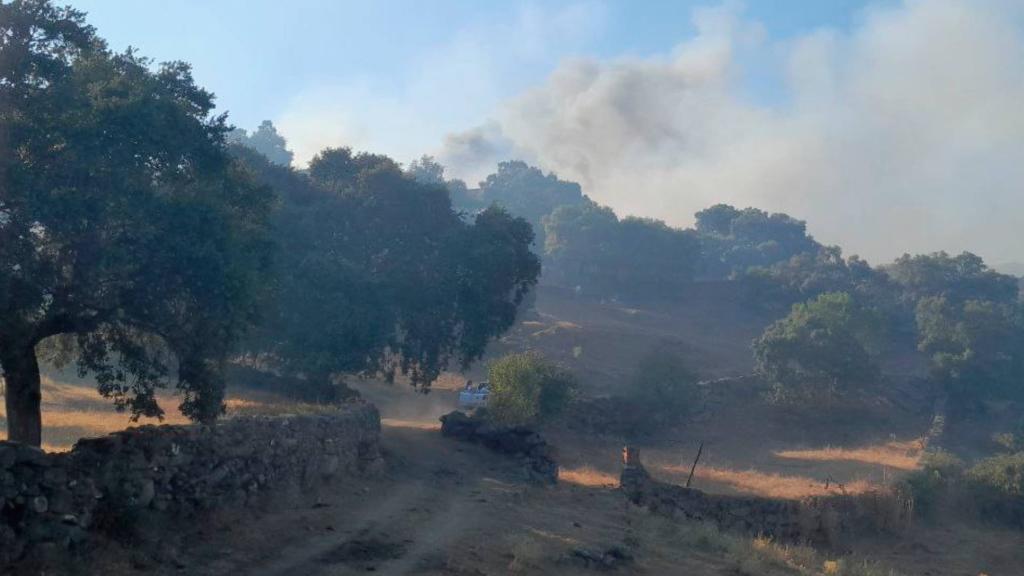 Incendio paraje 'Los Cruces', de este lunes, 25 de julio.